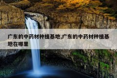 <b>�㶫����ҩ����ֲ����,�㶫����ҩ����ֲ����������</b>