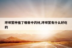 <b>ƺ��Ӫ��ֲ����Щ��ҩ��,ƺ��Ӫ��ʲô�óԵ�</b>