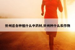 <b>�����ʺ���ֲʲô��ҩ��,������ʲôũ����</b>