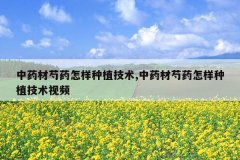 <b>��ҩ����ҩ������ֲ����,��ҩ����ҩ������ֲ������Ƶ</b>