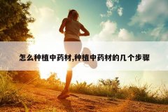 <b>��ô��ֲ��ҩ��,��ֲ��ҩ�ĵļ�������</b>