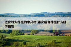 <b>�ʺ��Ű���ֲ����ҩ��,�Ű��ʺ���ֲʲô����ֲ��</b>