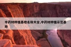 <b>��ҩ����ֲ�������ƴ�ȫ,��ҩ����ֲʾ������</b>