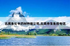 <b>�����㻯��ҩ����ֲ��˾,���������㸮�绰</b>