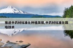 <b>�ƽ���ҩ�ı�׼����ֲ��,��ҩ�ı�׼�����༼��</b>