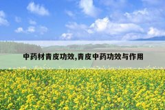 <b>��ҩ����Ƥ��Ч,��Ƥ��ҩ��Ч������</b>