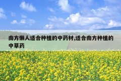 <b>�Ϸ������ʺ���ֲ����ҩ��,�ʺ��Ϸ���ֲ���в�ҩ</b>