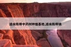 <b>��ˮ��ʦ��ҩ����ֲ����,��ˮ��ʦ��</b>