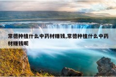 <b>������ֲʲô��ҩ��׬Ǯ,������ֲʲô��ҩ��׬Ǯ��</b>