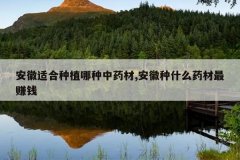 <b>�����ʺ���ֲ������ҩ��,������ʲôҩ����׬Ǯ</b>