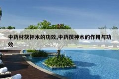 <b>��ҩ������ľ�Ĺ�Ч,��ҩ����ľ�������빦Ч</b>