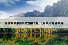 <b>������ҩ�ı�аЧ���õ�,ʲô��ҩ��а��լ</b>