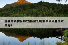 <b>��Щ��ҩ�Ĳ�ѪЧ�����,��Щ�в�ҩ��ѪЧ����?</b>