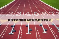 <b>��ֲ��ҩ��ʩʲô���Ϻ�,��ֲ�в�ҩ</b>