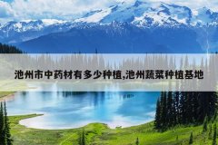 <b>��������ҩ���ж�����ֲ,�����߲���ֲ����</b>