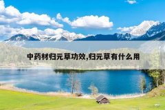 <b>��ҩ�Ĺ�Ԫ�ݹ�Ч,��Ԫ����ʲô��</b>