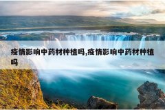 <b>����Ӱ����ҩ����ֲ��,����Ӱ����ҩ����ֲ��</b>