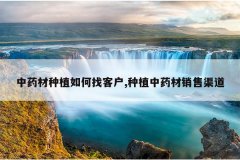 <b>��ҩ����ֲ����ҿͻ�,��ֲ��ҩ����������</b>