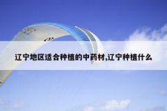 <b>���������ʺ���ֲ����ҩ��,������ֲʲô</b>