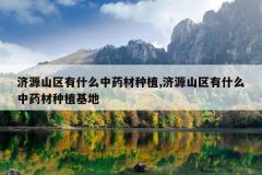 <b>��Դɽ����ʲô��ҩ����ֲ,��Դɽ����ʲô��ҩ����ֲ����</b>