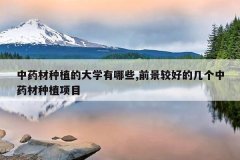 <b>��ҩ����ֲ�Ĵ�ѧ����Щ,ǰ���Ϻõļ�����ҩ����ֲ��Ŀ</b>