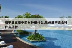 <b>��������Ҫ��ҩ����ֲʲô,���������ʺ���ʲôҩ��</b>