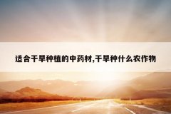 <b>�ʺϸɺ���ֲ����ҩ��,�ɺ���ʲôũ����</b>