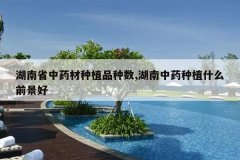 <b>����ʡ��ҩ����ֲƷ����,������ҩ��ֲʲôǰ����</b>