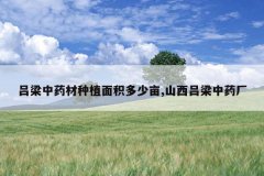 <b>������ҩ����ֲ�������Ķ,ɽ��������ҩ��</b>