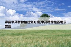 <b>������ҩ����ֲ�滮����,��ҩ����ֲ����ʾ����</b>