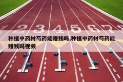 <b>��ֲ��ҩ����ҩ��׬Ǯ��,��ֲ��ҩ����ҩ��׬Ǯ����Ƶ</b>