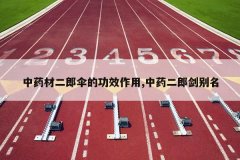 <b>��ҩ�Ķ���ɡ�Ĺ�Ч����,��ҩ���ɽ�����</b>