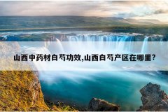 <b>ɽ����ҩ�İ��ֹ�Ч,ɽ�����ֲ���������?</b>