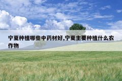 <b>������ֲ��Щ��ҩ�ĺ�,������Ҫ��ֲʲôũ����</b>