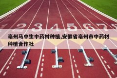 <b>������������ҩ����ֲ,����ʡ��������ҩ����ֲ������</b>