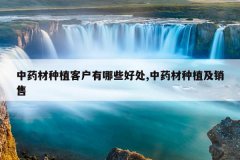 <b>��ҩ����ֲ�ͻ�����Щ�ô�,��ҩ����ֲ������</b>