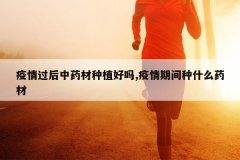 <b>���������ҩ����ֲ����,�����ڼ���ʲôҩ��</b>