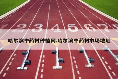 <b>��������ҩ����ֲ��,��������ҩ���г���ַ</b>