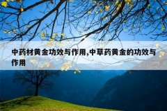 <b>��ҩ�Ļƽ�Ч������,�в�ҩ�ƽ�Ĺ�Ч������</b>