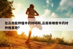 <b>����������ֲ��ҩ������,��������Щ��ҩ����ֲ����?</b>