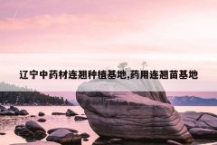 <b>������ҩ��������ֲ����,ҩ�����������</b>