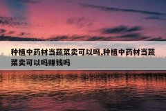 <b>��ֲ��ҩ�ĵ��߲���������,��ֲ��ҩ�ĵ��߲���������׬Ǯ��</b>