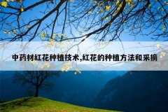 <b>��ҩ�ĺ컨��ֲ����,�컨����ֲ�����Ͳ�ժ</b>