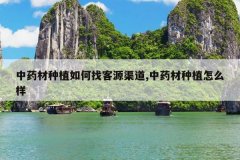 <b>��ҩ����ֲ����ҿ�Դ����,��ҩ����ֲ��ô��</b>