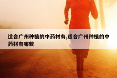 <b>�ʺϹ�����ֲ����ҩ����,�ʺϹ�����ֲ����ҩ������Щ</b>