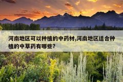 <b>���ϵ���������ֲ����ҩ��,���ϵ����ʺ���ֲ���в�ҩ����Щ?</b>