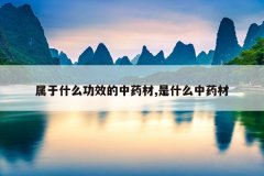 <b>����ʲô��Ч����ҩ��,��ʲô��ҩ��</b>