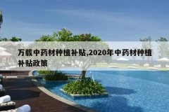 <b>������ҩ����ֲ����,2020����ҩ����ֲ��������</b>
