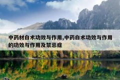 <b>��ҩ�İ�����Ч������,��ҩ������Ч�����õĹ�Ч�����ü�����֢</b>