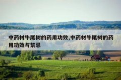 <b>��ҩ��ţβ����ҩ�ù�Ч,��ҩ��ţβ����ҩ�ù�Ч�����</b>